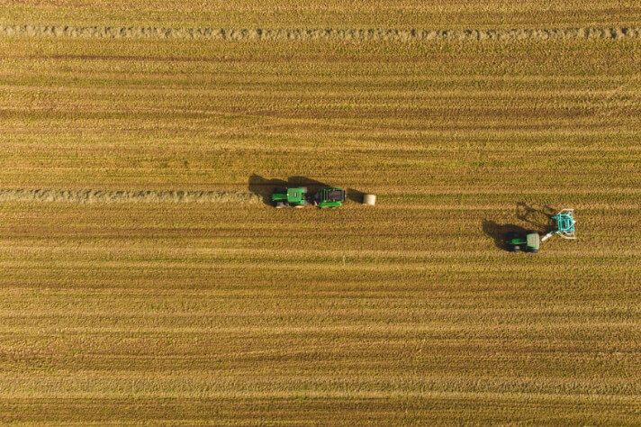 牧草の漬物_サムネイル画像