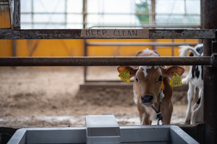 KEEP CLEAN_サムネイル画像