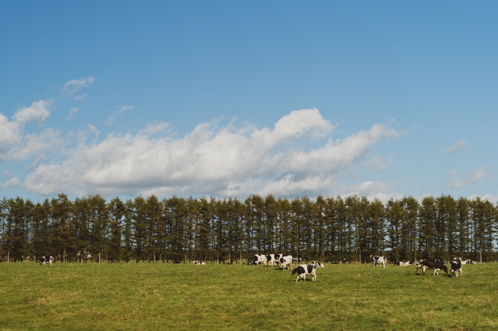 深まる秋_サムネイル画像