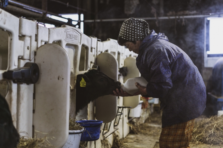 仔牛の話 その3_サムネイル画像