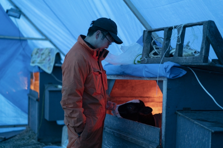 仔牛の話 その4_サムネイル画像