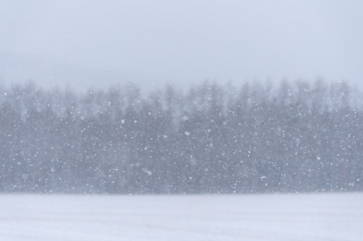 冬のはじまり_サムネイル画像