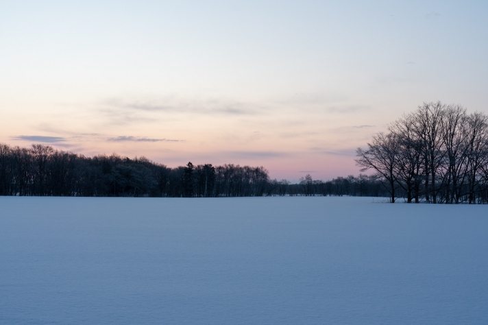 牧場の朝_サムネイル画像