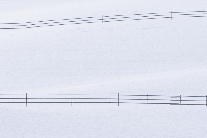 冬の牧草地_サムネイル画像