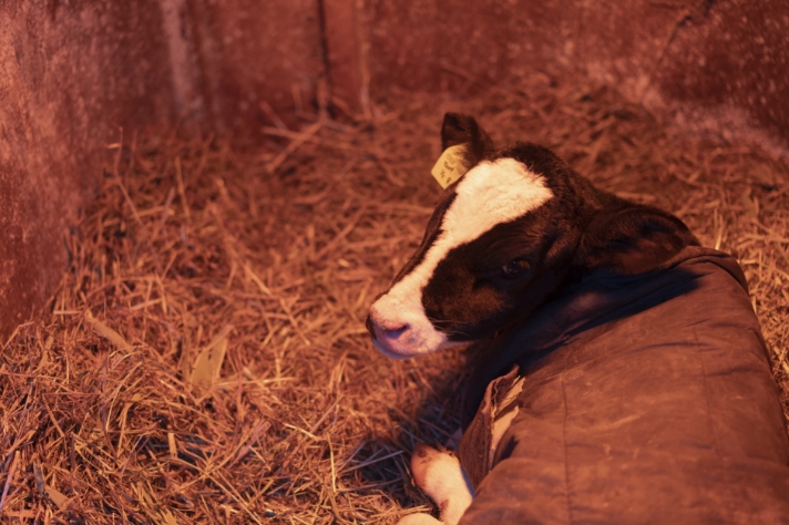 -20℃_サムネイル画像