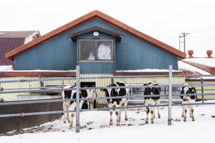 白い世界にあう色彩_サムネイル画像